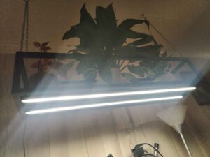 Wiszący Lampa kwietnik półka industrial LOFT nowoczesny model „Prima Light”